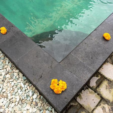 Buana Home Stay Ubud Exterior foto